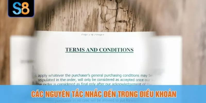 Các nguyên tắc nhắc đến trong điều khoản