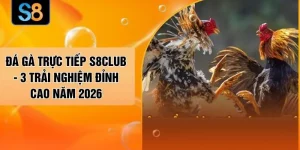Đá Gà Trực Tiếp S8CLUB - 3 Trải Nghiệm Đỉnh Cao Năm 2026