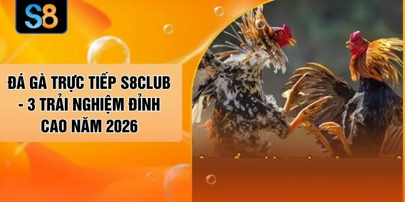 Đá Gà Trực Tiếp S8CLUB - 3 Trải Nghiệm Đỉnh Cao Năm 2026
